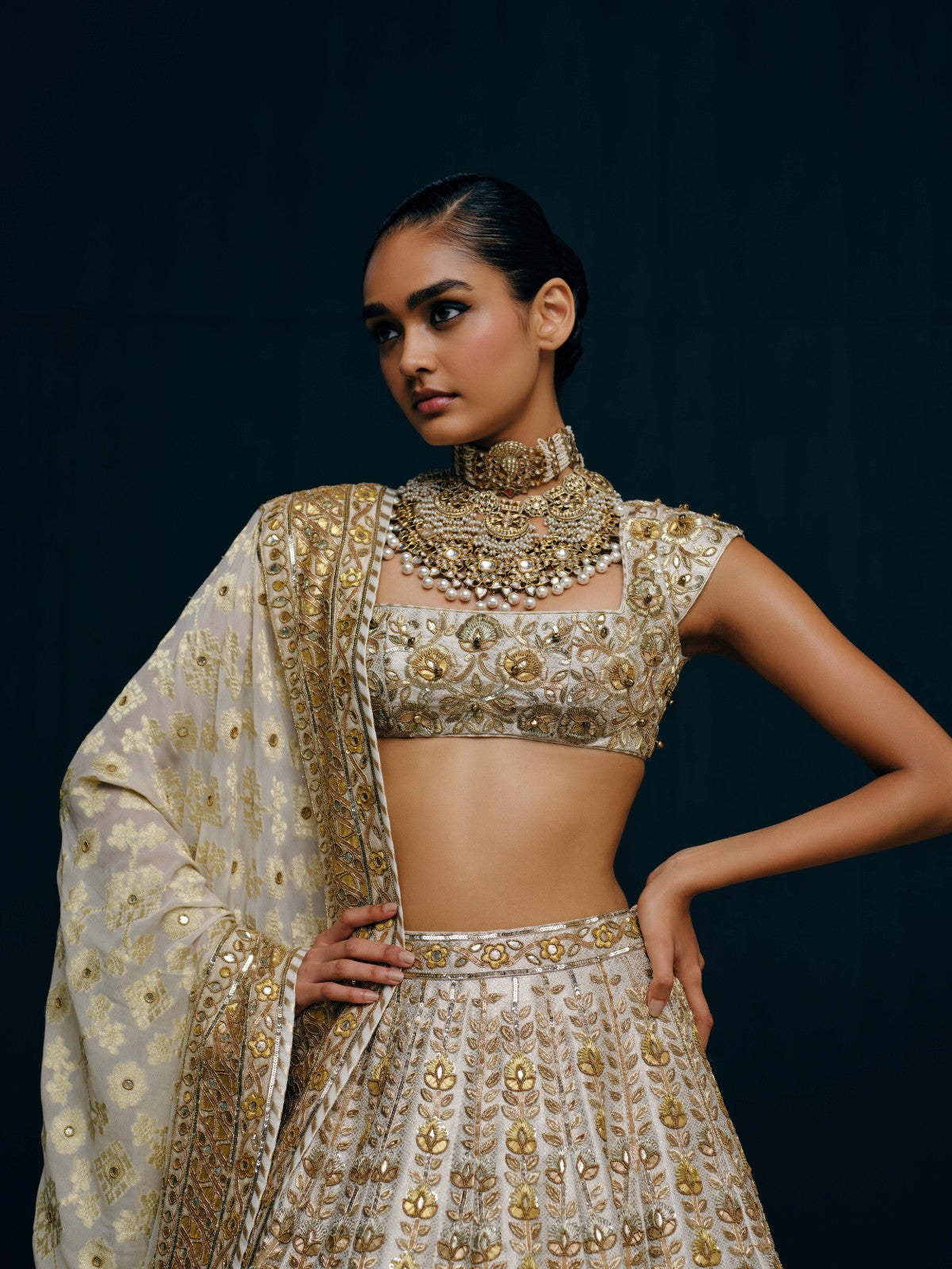 Revati lehenga set