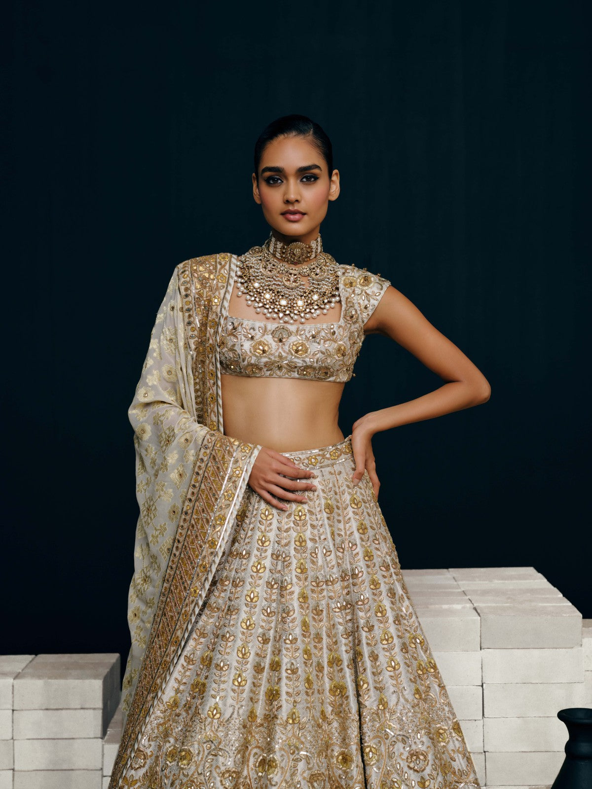 Revati lehenga set